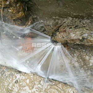 化隆自来水管道漏点检测